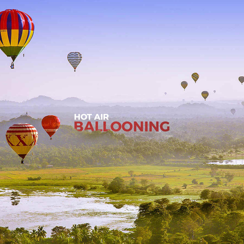 Visit Ceylon