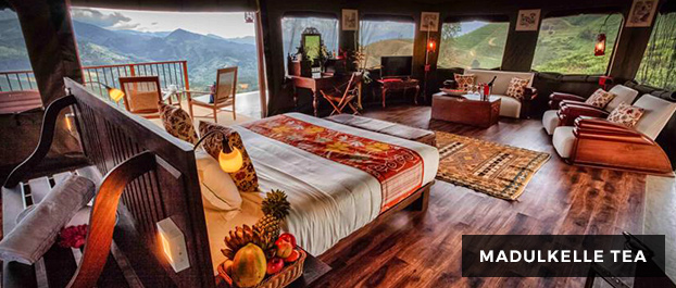 Madulkelle Tea and Eco Lodge